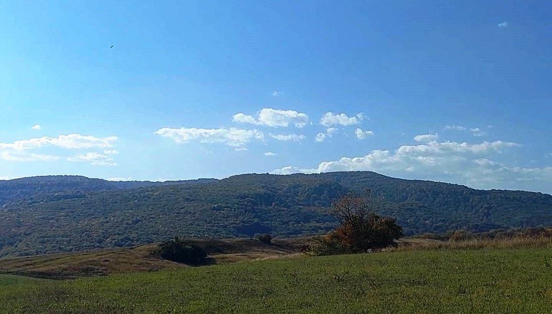      5       ,  