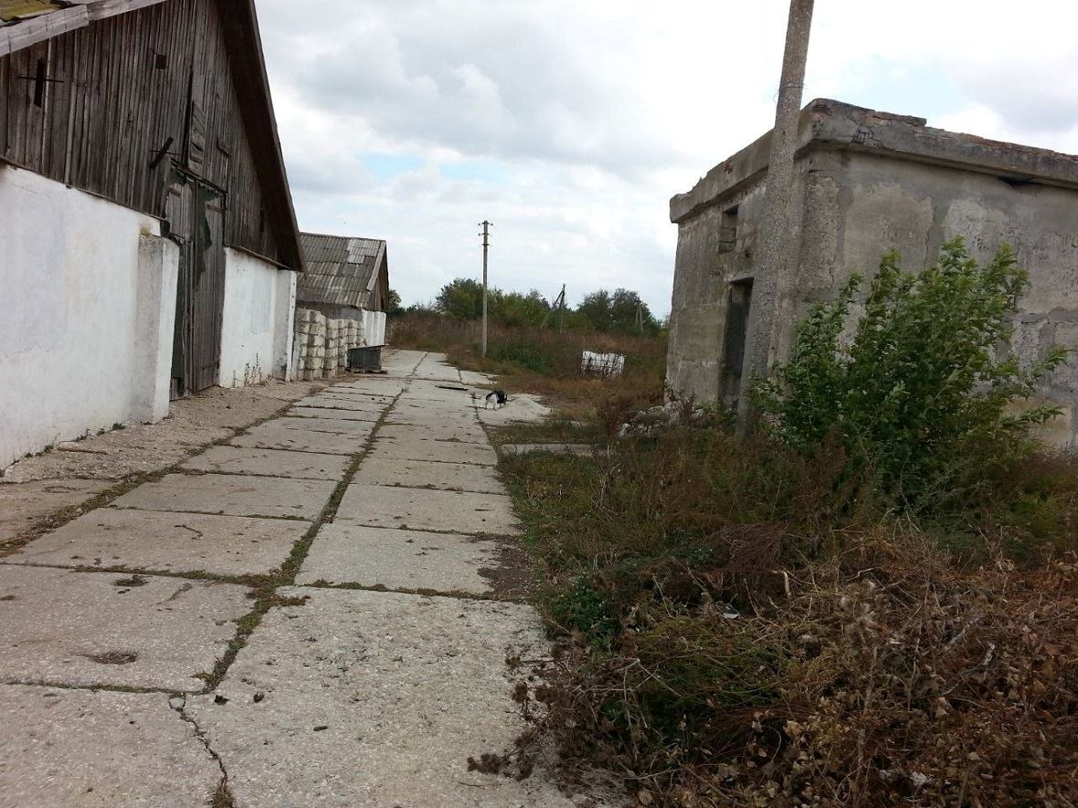       ,   15   ,    ,        