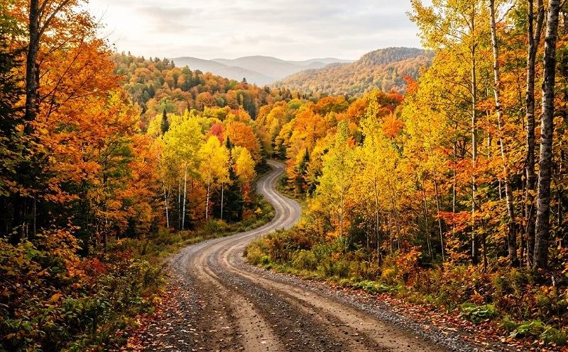 Buy an Operating Hunting Estate in Russia | KUBANMAKLER