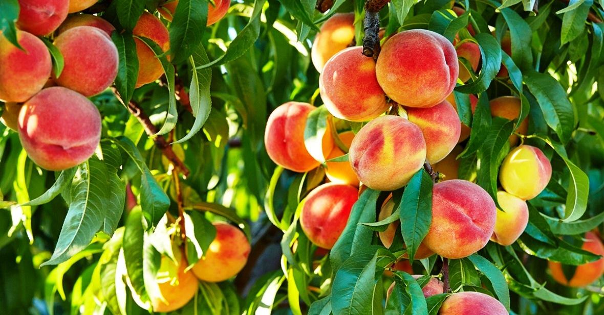 ������ ����������� ��� � ������������� ����, ������� ����������� ������������� �������� �� ��� ������, ������ ��������� ���, ����������� ��������� ������������� ��������� ����, ������ ��������� ������������ ��� � ����������