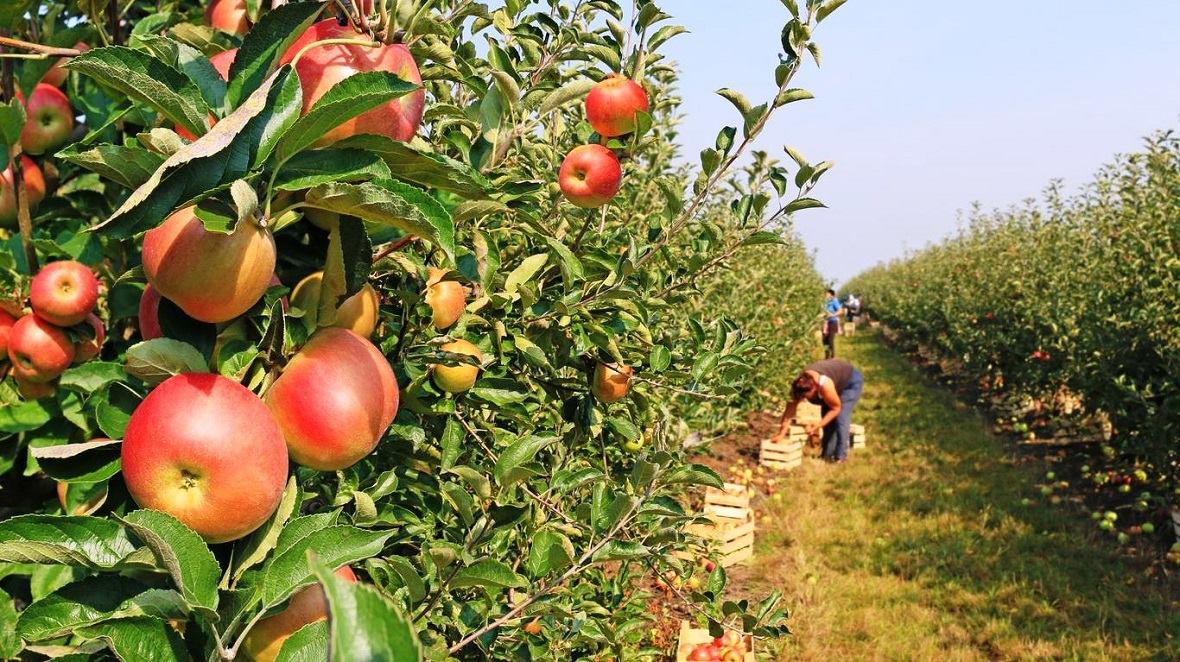 �������� ������ ��������� �����, ������������� �������� �� ��� ������, ������ ������������� ���� ��� ������� � ������������� ����, ��������� ���������� ����, ���������������� ������ ������������� ��������, ������������� �����������, �������� ���� ��������� �����