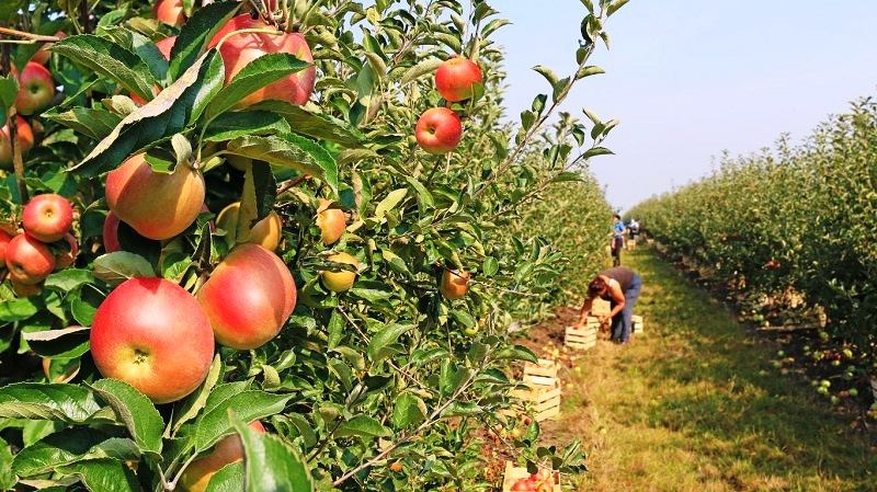 ���� ��������� ������������ ��� � ������������� ����, ������ ������������ ��������� ���, ������������� ����, ������� ���������� ���, ��������� ����, ���������� ����, ���������� ����, �������� ���� ������������� ����, �������� ���� ������, ����������� �����, �����, �����