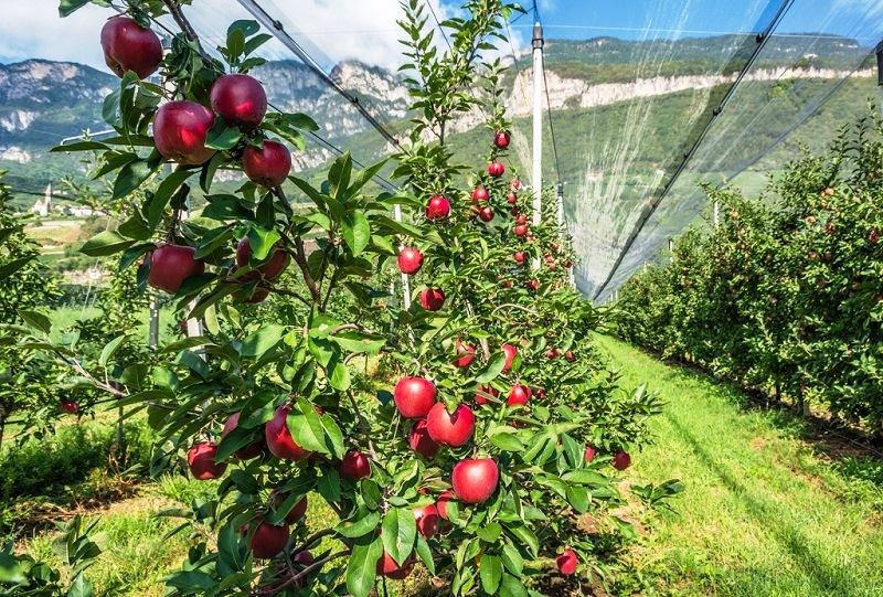 ���� �� ������������ ��������� ���� � ������������� ����, ���� �� ������������� ���������, ���� ������������ ��������� �����, ���� ������� ����� ��� �����������, ������������� ����