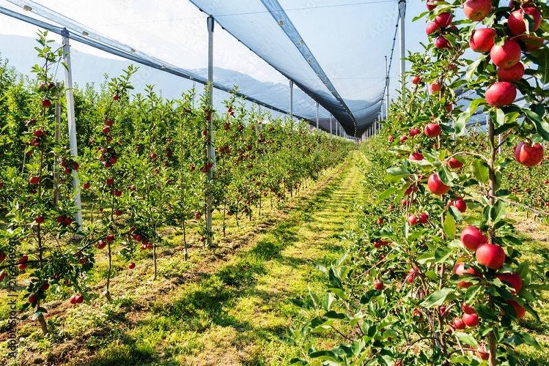 ������� ����������� ����� � ������������� ����, ���������� ����������� ���, ������ �� �����������, ������, ������� ��� �����������, ������� ���������������� ����� � ��������� ��������� � ������������� ����, ������� ������������� �������� �� ����������� ����������, ���������� � ����������� �����������, ���� ������������ ������������, ��������� ���� ������������� ����