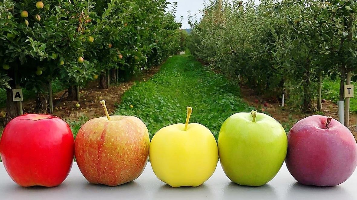 ������� ������ ��������� ���� �� ��� ������, ������ ����������� ������ ��������� ���, ������������� ��������� � ������������� ����, ������ �� �������, ������� ������������ ��������� �����, ������������� ��������, ��������� �������� ��� ����������� ����� �� ���������� �������������� ����, ������ � ������ ����� ���������� �� ����������� ����������, ������������� ��������, ������ ������ � ����� ����������, ����������� ��������� ����� �� ��� ������