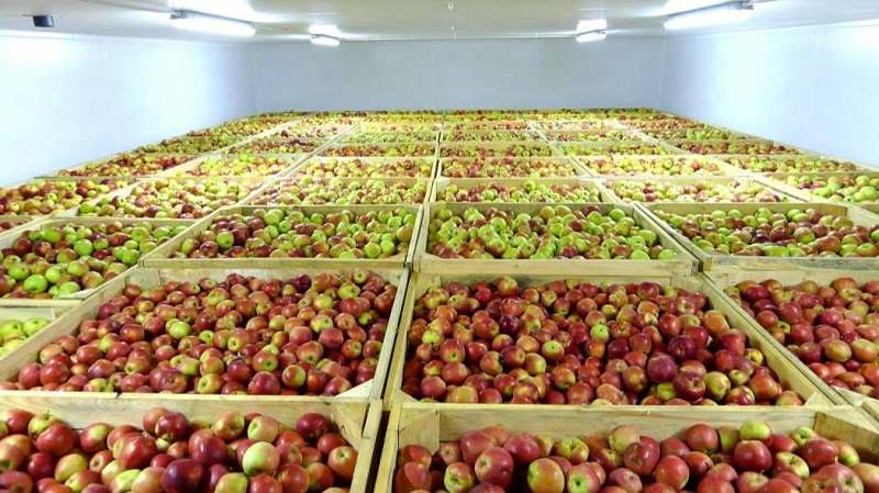 Продажа фруктохранилищ в Краснодарском крае