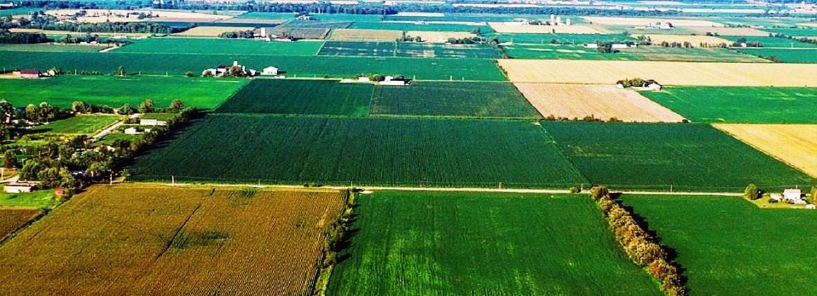 In the Krasnodar region KUBAN, AGRIBUSINESS, agricultural land, farms, wheat, barley, rice fields, farms for livestock and poultry, grain elevators, ponds for fish farming, oil mills, milk plants, Breweries, vineyards, land for vineyards, agricultural land the purpose of the Kuban