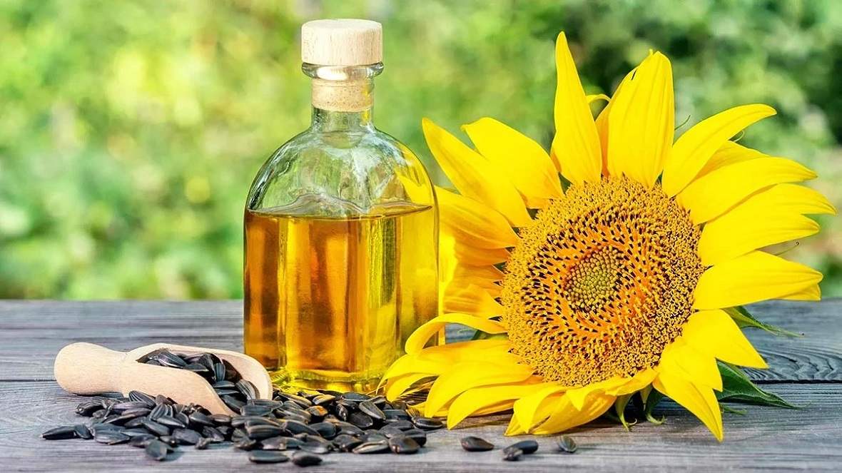 Helianthus annuus (Sunflower) Seed Oil. Масло Золотая семечка подсолн. Подсолнухи маслом. Подсолнечное масло и подсолнух.