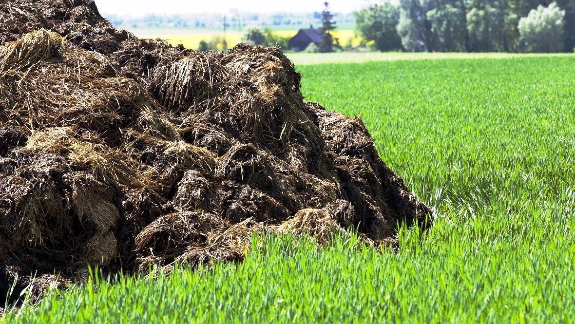 ������������ ������������ ��������� � ������, �������� ���� ������������ ���������, ���������, ���������� � ����������� ����� ��������, ������������ ���������, ������������ ��������� ����� �� ������� �� ������