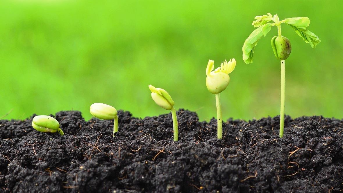 ������, ������� ���������� ����� �������� � ������, ������� ����� ����������� ����� ��������, ������� ����������� ����� ��������