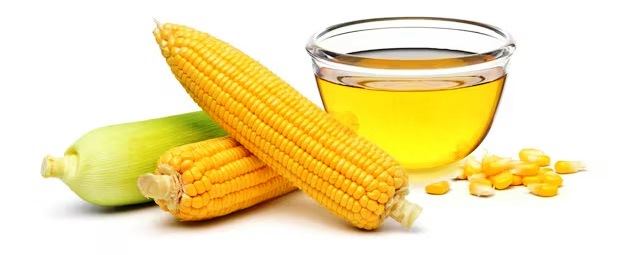 ������ ���������� ����� �� ������� ����� �� ������, ������ �� ������� ����������� �����  �� �������, ������� ����������� ����� �� �������, ����������� ������� ����������� ����� �� �������������