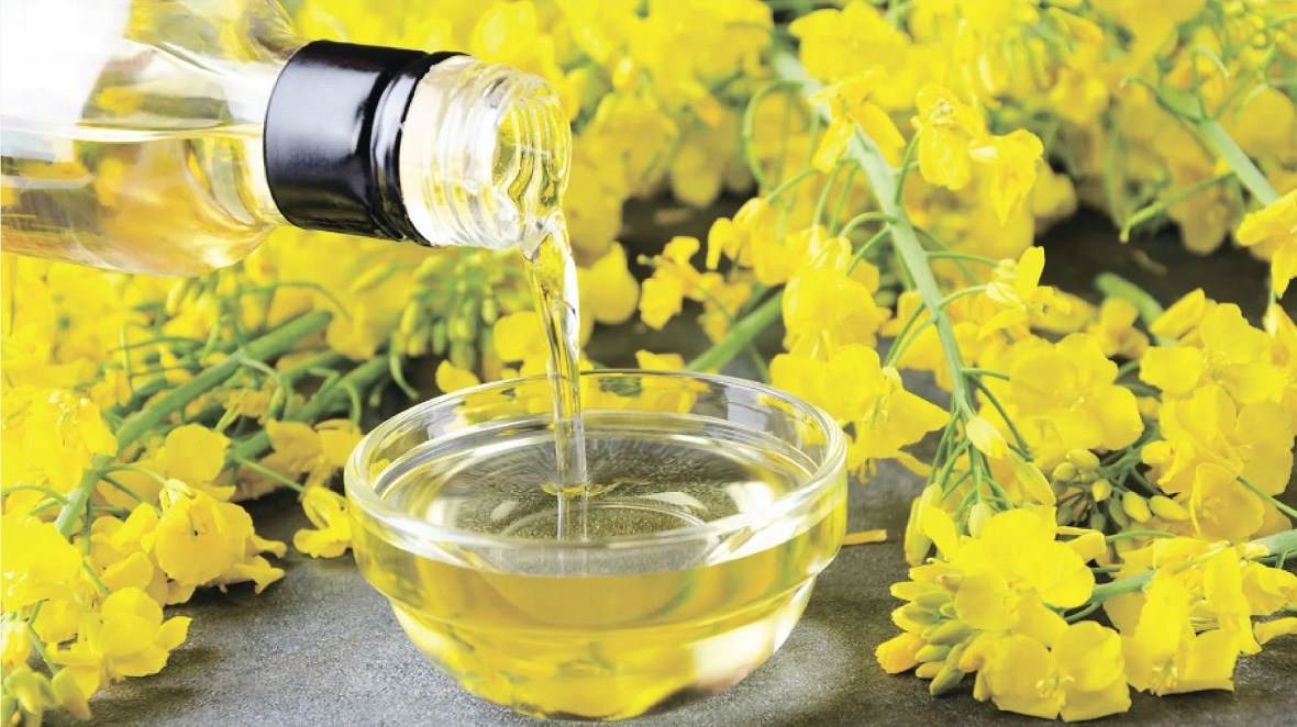 EXPORT OF REFINED RAPESEED OIL FROM RUSSIA, REFINED RAPESEED OIL FOR EXPORT, WHOLESALE SALE OF REFINED RAPESEED OIL FOR EXPORT IN RUSSIA