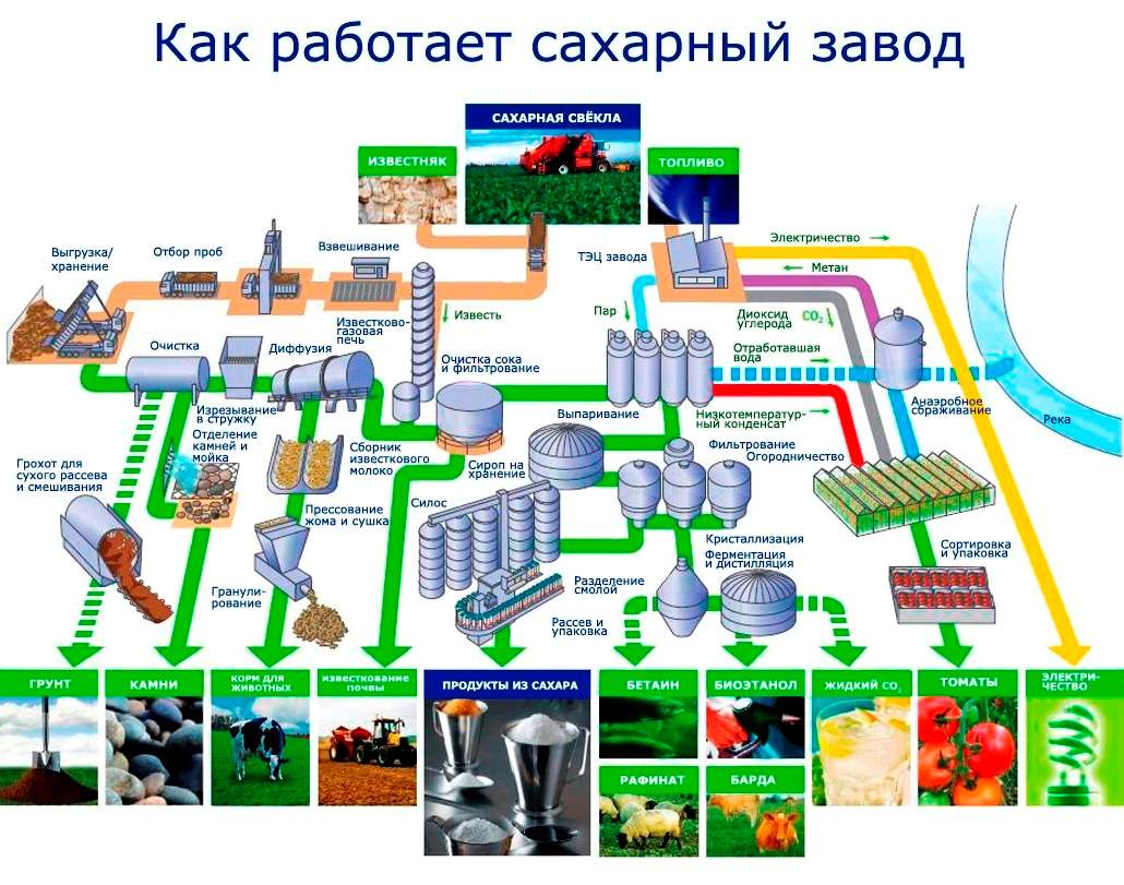 ПРОИЗВОДСТВО СВЕКЛОВИЧНОГО САХАРА В РОССИИ, ОПТОВЫЕ ПРОДАЖИ С САХАРНЫХ ЗАВОДОВ  КРАСНОДАРСКОГО КРАЯ, СВЕКЛОВИЧНЫЙ САХАР ПЕСОК ОТ ПРОИЗВОДИТЕЛЕЙ В РОССИИ,  сахар из сахарной свеклы оптом с сахарных предприятий в России -  www.kubanmakler.ru