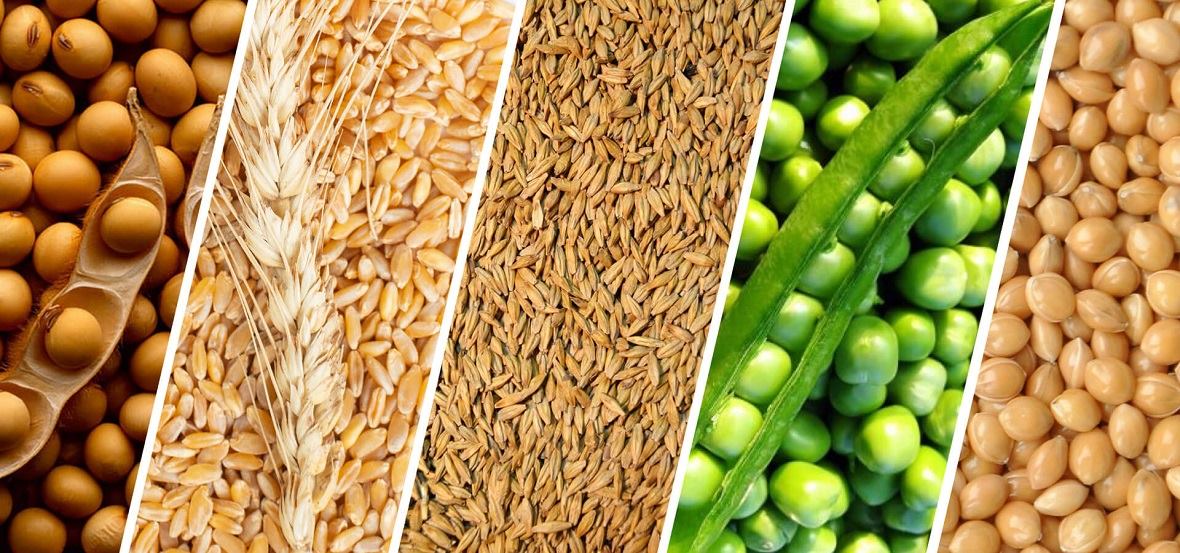 ���� �� ��������������������, ���������������� ��������� � ������, ������ �� �������, ������� ���������������� �� �������, ������� �������������������� � ���������������� ��������� �� ������ �� ���������� �����