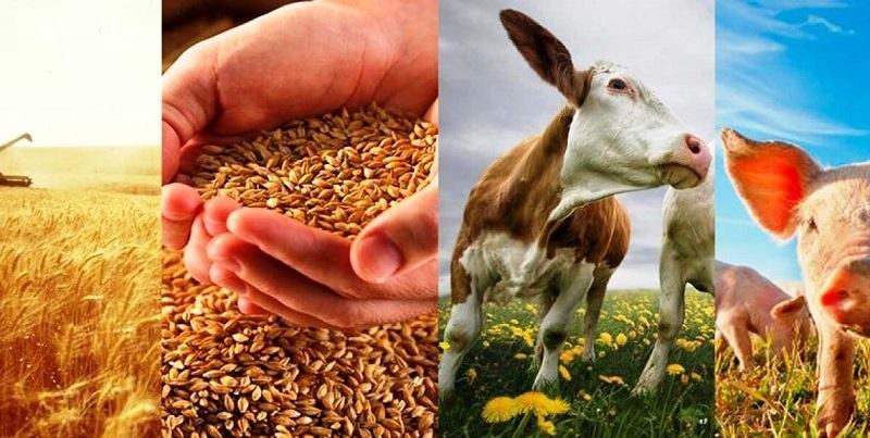 ���������� � ��� ������, ���������������� � �������������������� ������������ � ������, �������� ����������� ��������������, ������� ���� ������ ��������� �������� ��� ��� ��������������, ������ �� ������� �������� ��� ��������� �������������� � ������������, ���������� � ������