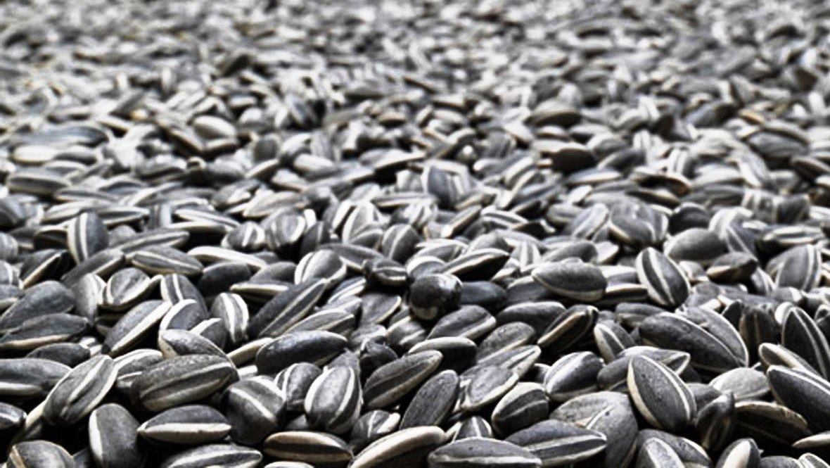 ������, ������� ������� ������������� �����������������, �������� �����, �������, ������� ����� ������������� ���, ���������, ������������ �����, ������� ������������� ����������������� �������, ������� ������ �������������, ��������� ������� ����� 