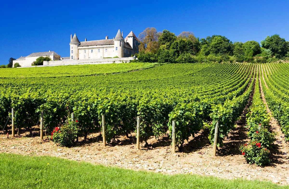 Прямой поставщик материалов и оборудования от лидирующих французских производителей. Мы находимся в городе Бордо, Франция – это мировой центр виноделия.