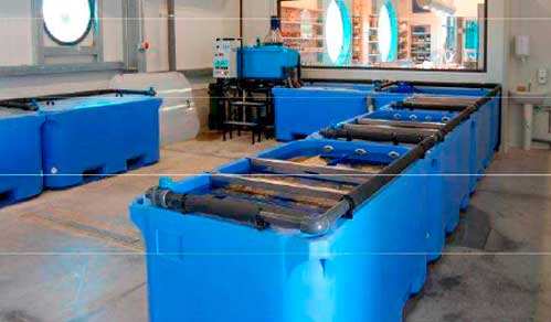 Напольная система для хранения живых моллюсков и морепродуктов с использованием пресной воды