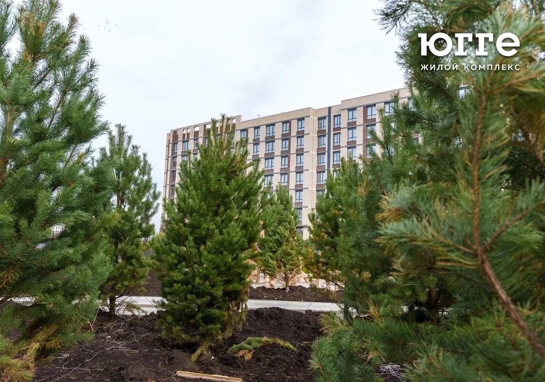 �������� ������� ���� ������ � �� ���� ��������� | ������� ��������� 1,2,3 ��������� ��������������� ������� � �������� ���������������, ���������