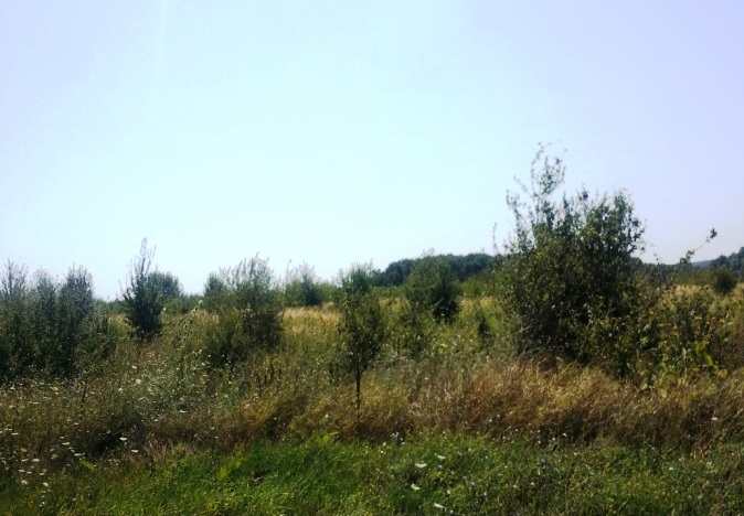 Продается земельный участок 450 га в Северском районе, Краснодарский край.