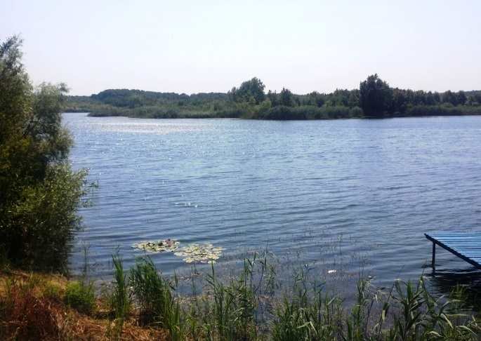 Продается земельный участок 450 га в Северском районе, Краснодарский край.