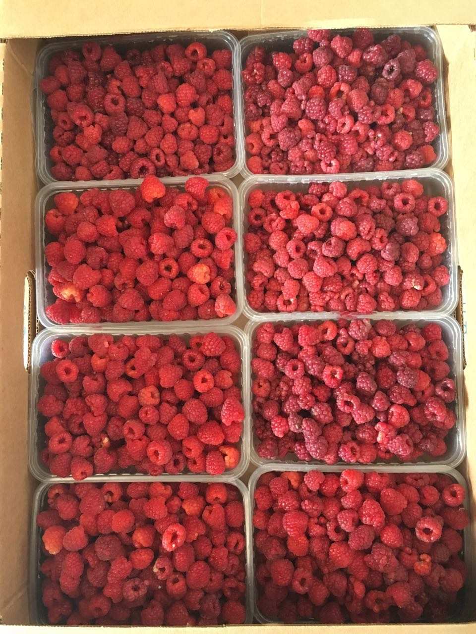 Купить ягоды с доставкой